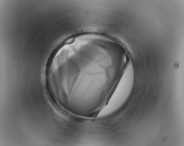 X0000097650678200803211856