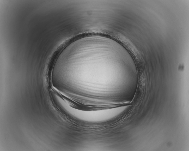 X0000097650680200803211856