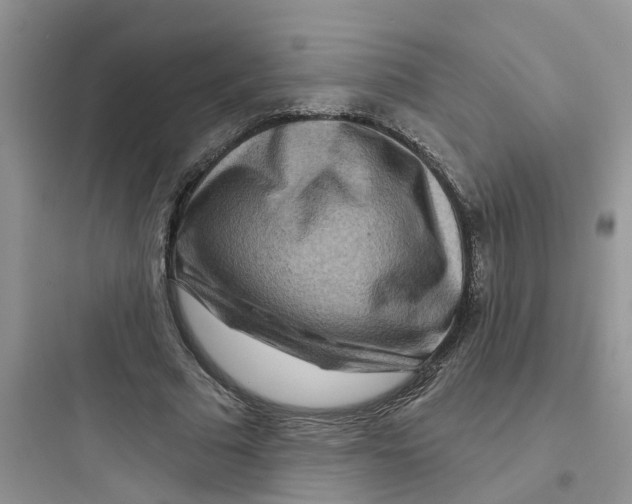 X0000097650681200803211856