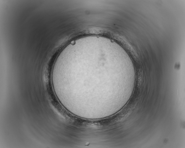 X0000097650683200803211856