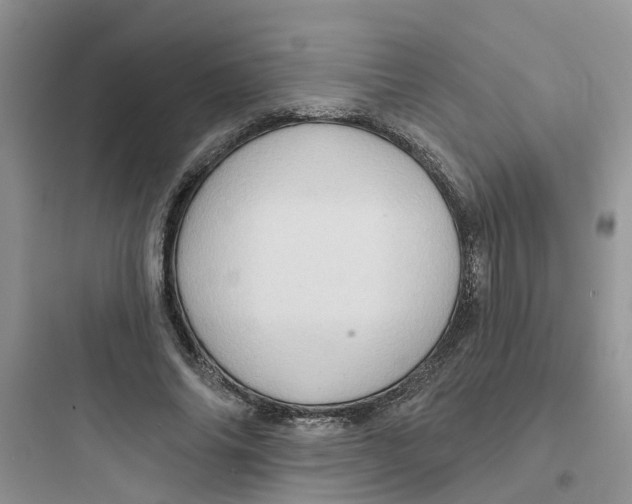 X0000097650686200803211856