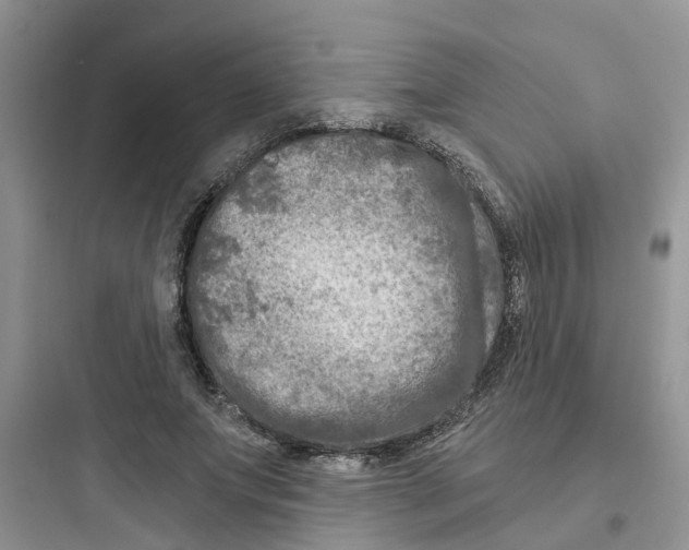 X0000097650687200803211856