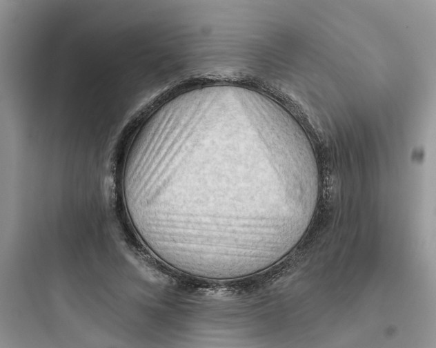 X0000097650688200803211856