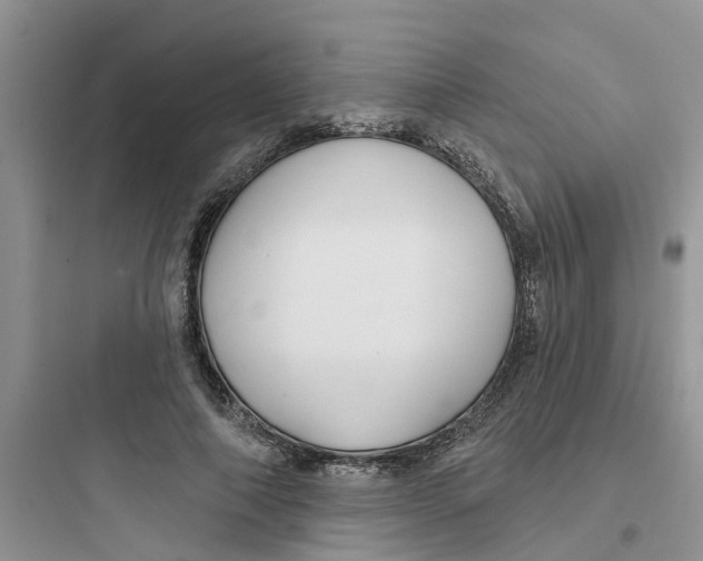 X0000097650690200803211856