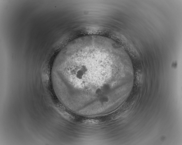 X0000097650691200803211856