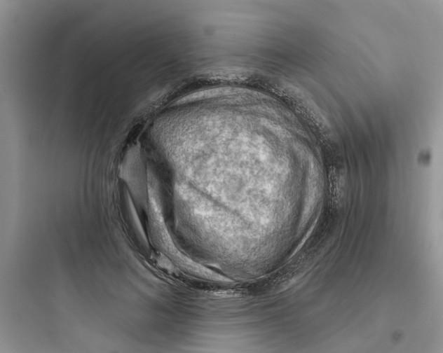 X0000097650692200803211856