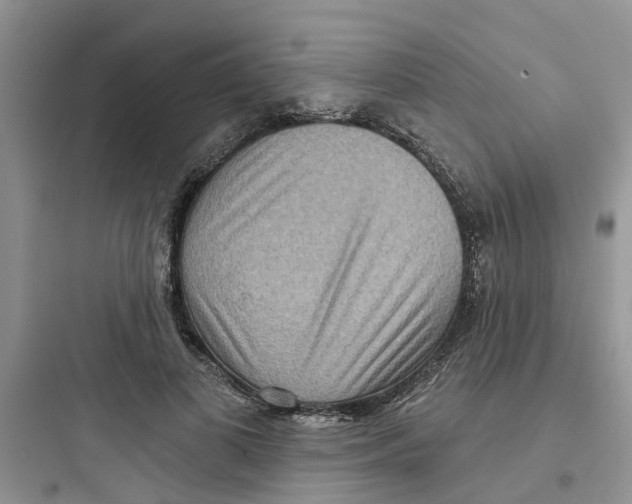 X0000097650693200803211856