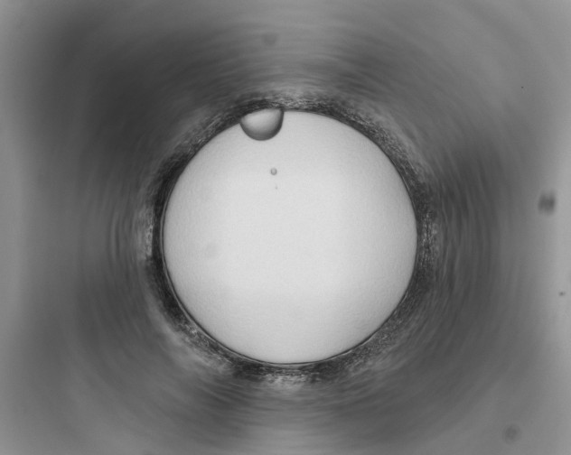 X0000097650694200803211856