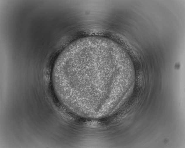 X0000097650695200803211856