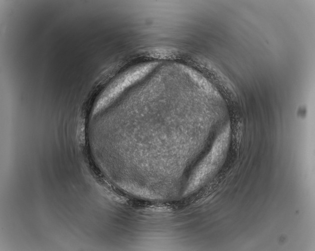 X0000097650696200803211856