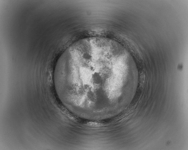 X0000097650699200803211856