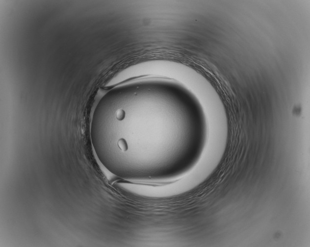 X0000097650701200803211856