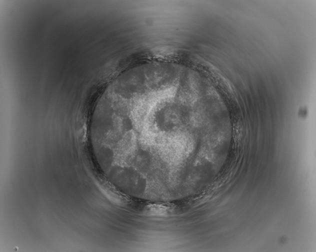 X0000097650703200803211856