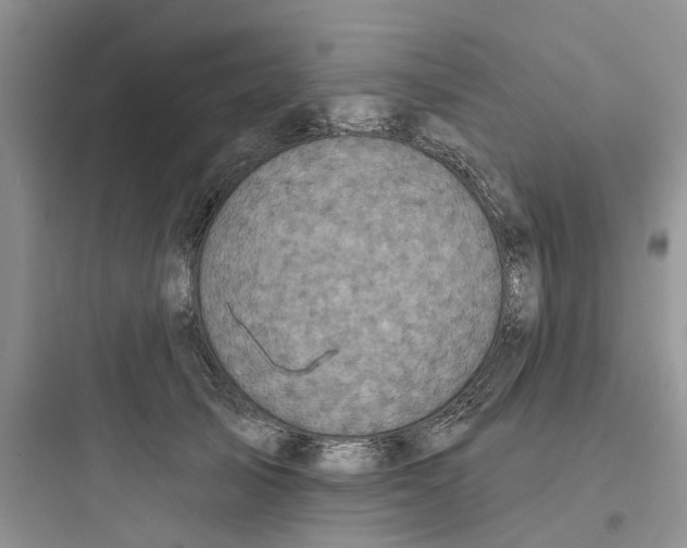 X0000097650705200803211856