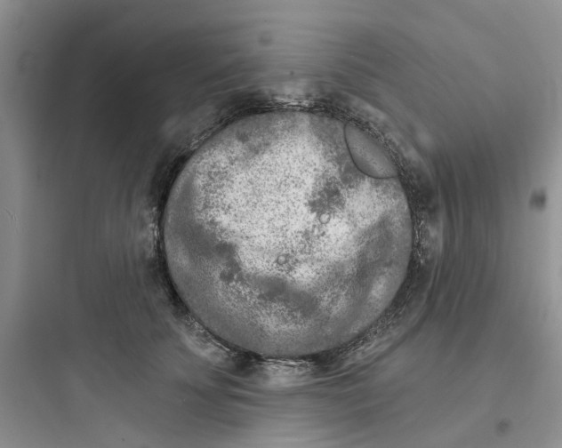 X0000097650707200803211856