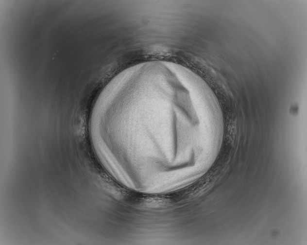 X0000097650708200803211856