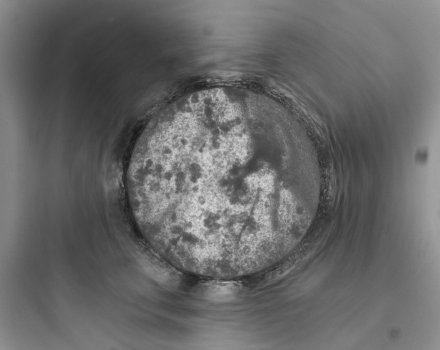 X0000097650711200803211856