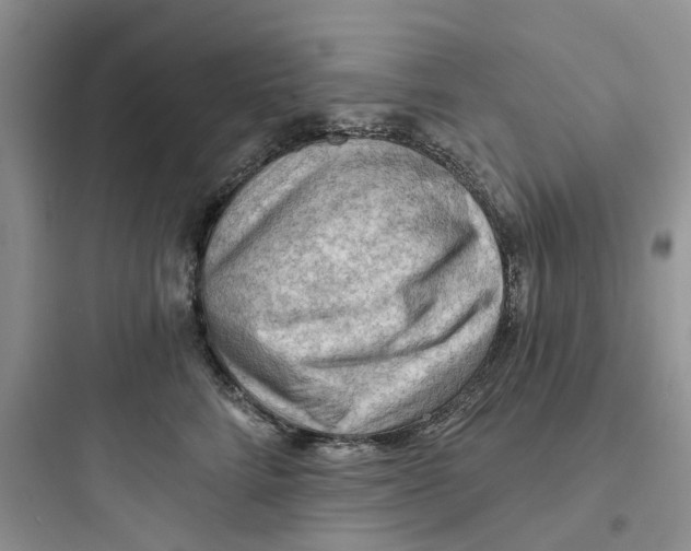 X0000097650712200803211856