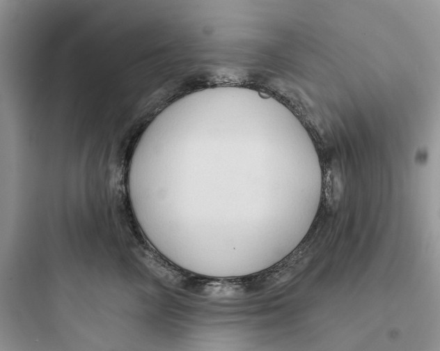 X0000097650714200803211856