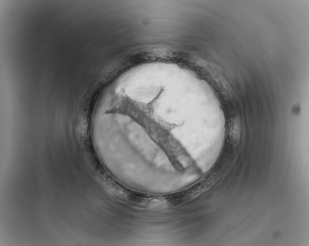 X0000097650715200803211856