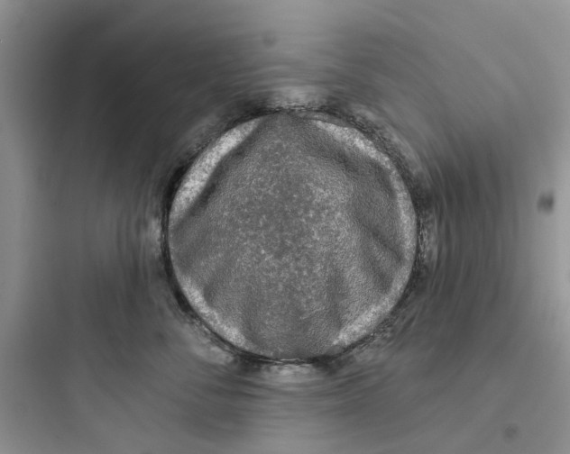 X0000097650716200803211856