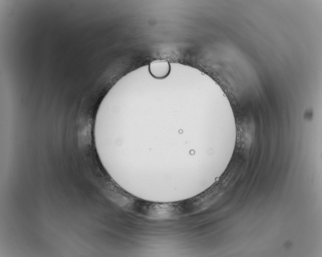 X0000097650717200803211856