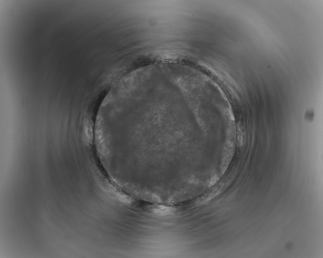 X0000097650718200803211856