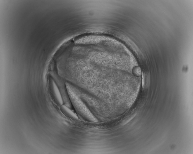 X0000097650723200803211855