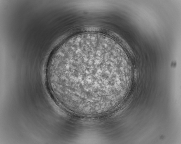 X0000097650725200803211855