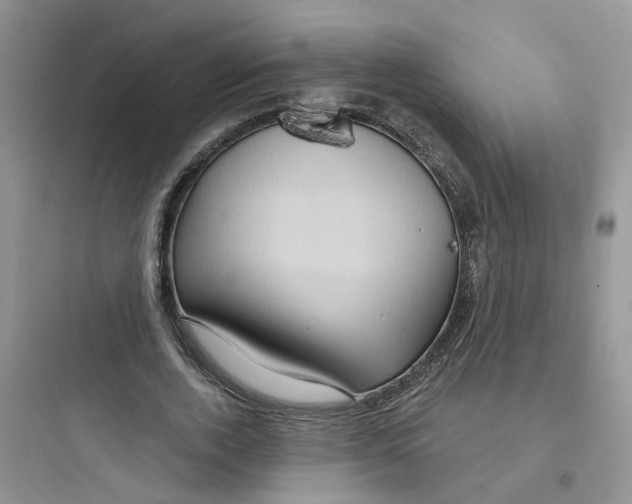 X0000097650728200803211855