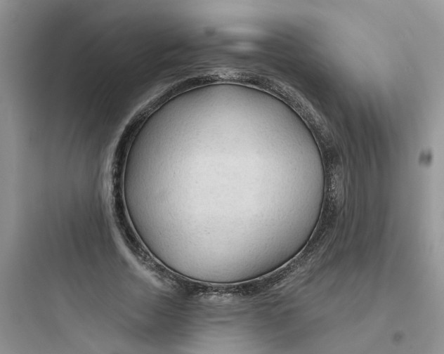 X0000097650730200803211855