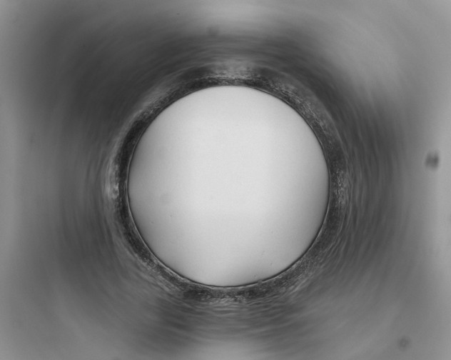 X0000097650731200803211855