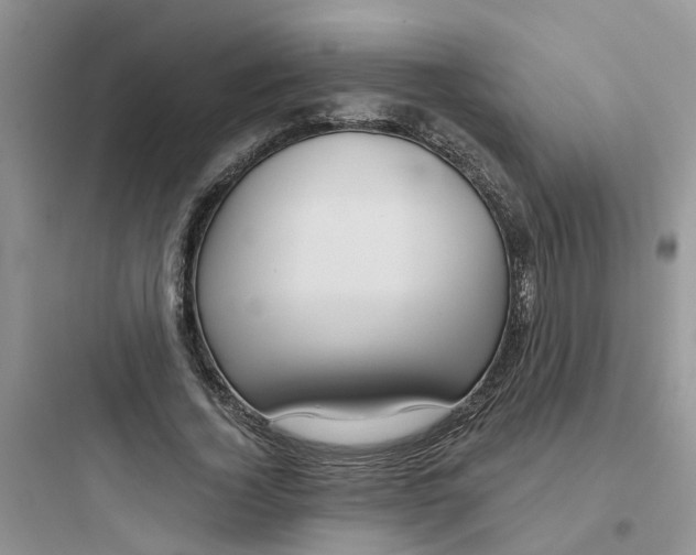 X0000097650732200803211855