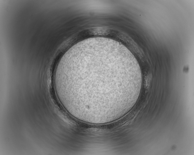 X0000097650733200803211855