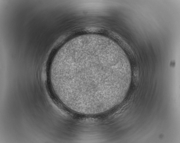 X0000097650734200803211855