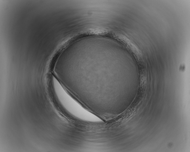 X0000097650736200803211855