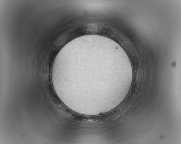 X0000097650737200803211855