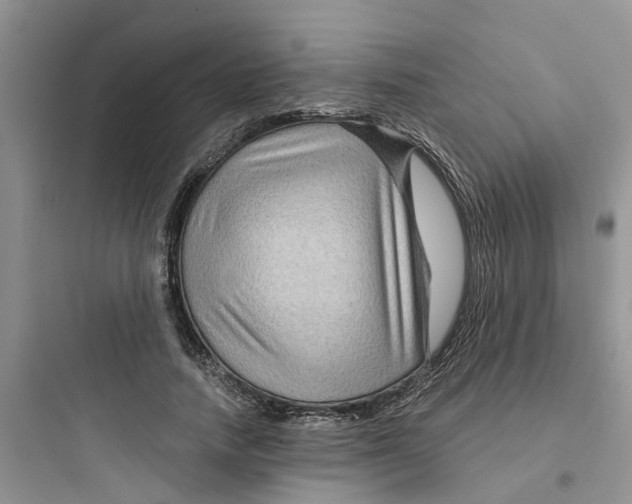 X0000097650738200803211855