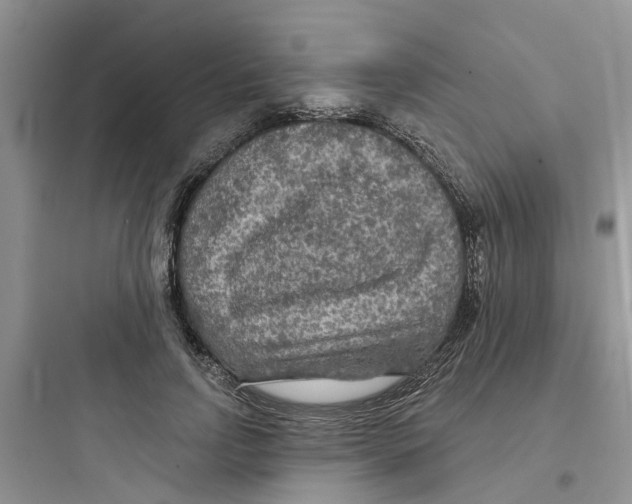 X0000097650742200803211855