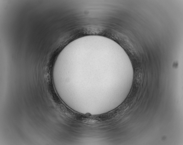 X0000097650743200803211855