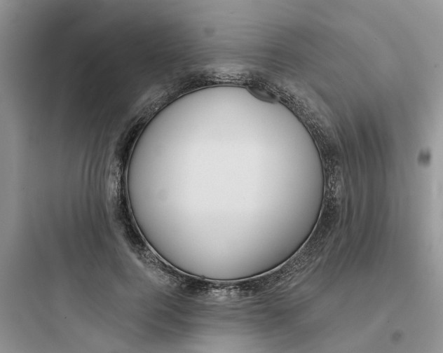 X0000097650744200803211855