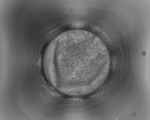 X0000097650745200803211855