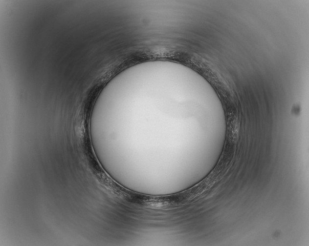 X0000097650746200803211855