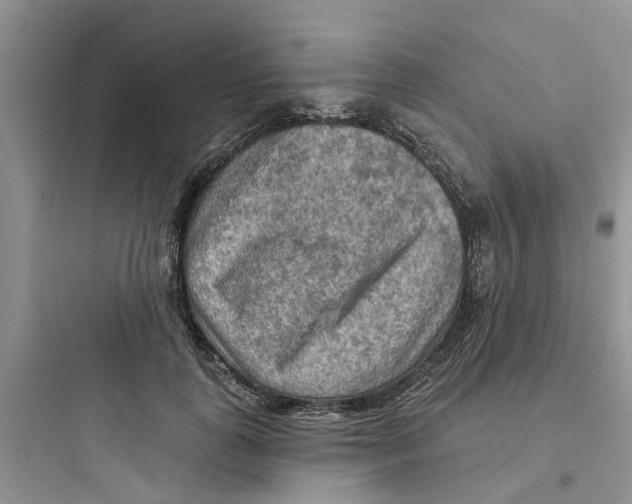 X0000097650747200803211855