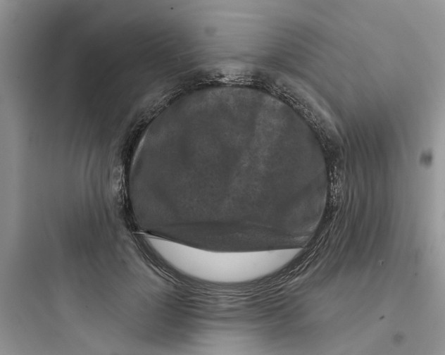 X0000097650748200803211855