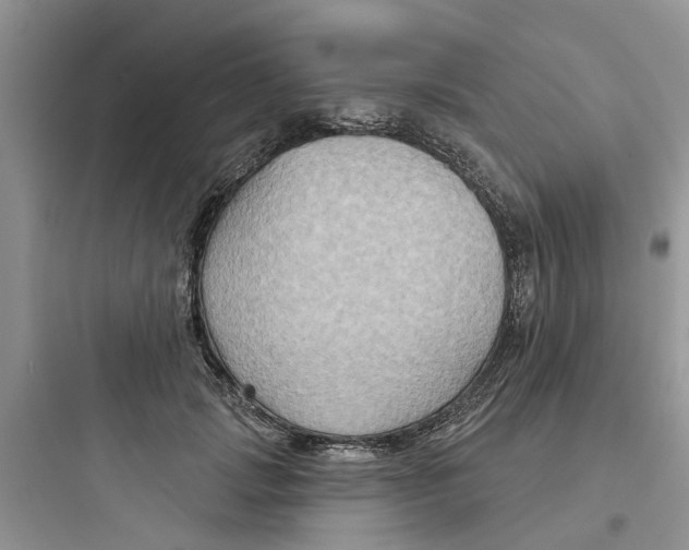 X0000097650749200803211855