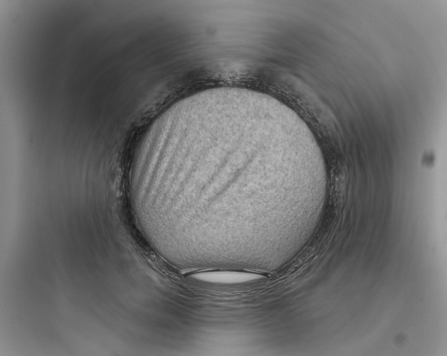 X0000097650750200803211855