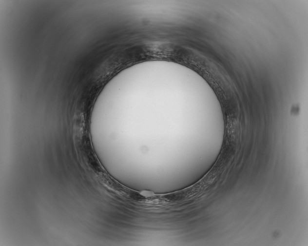 X0000097650752200803211855