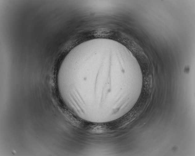 X0000097650755200803211855