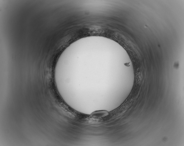 X0000097650756200803211855